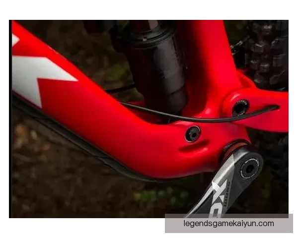 维蒂尼亚表现稳健，技术风格与战术适应性受到广泛关注